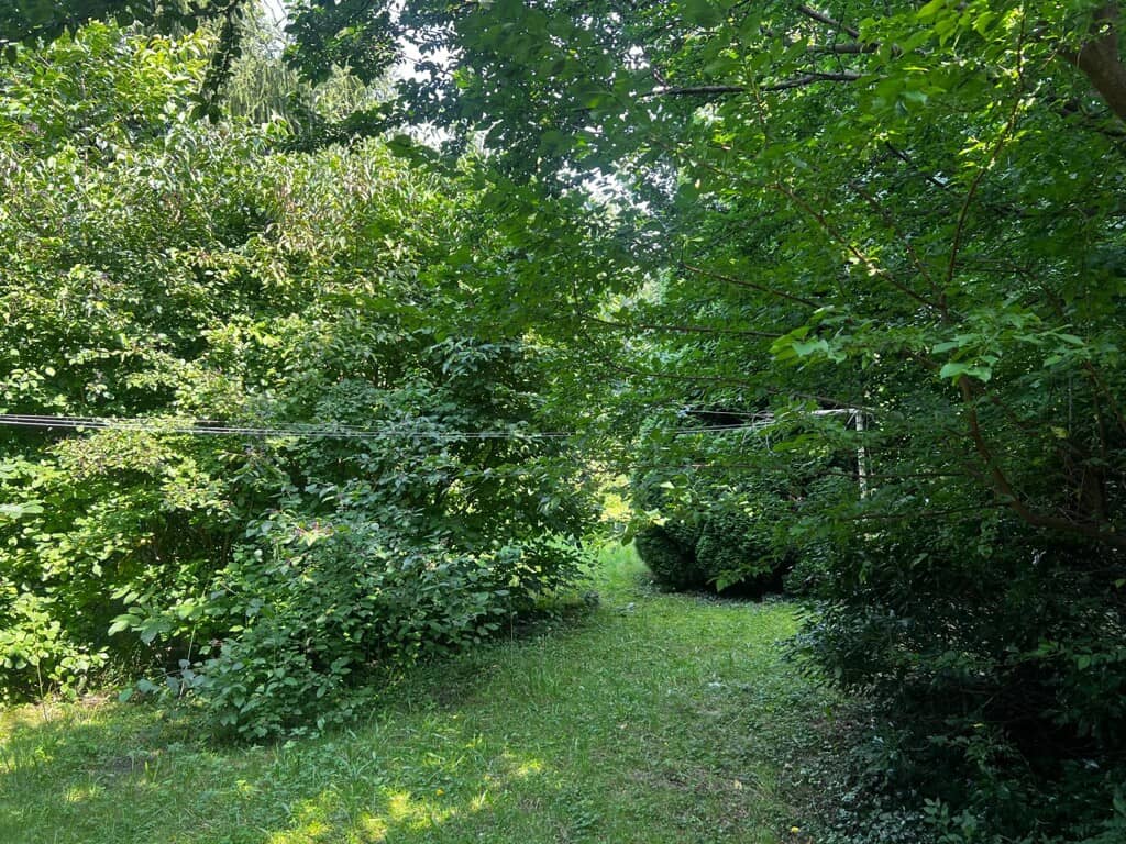 Grundstück mit Altbestand in attraktiver Linzer Lage, ca. 690 m²