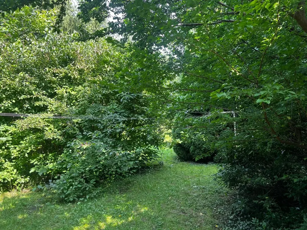 Investor apartment central location potential h 0?","de":"Anlegerwohnung Zentrale Lage Potenzial