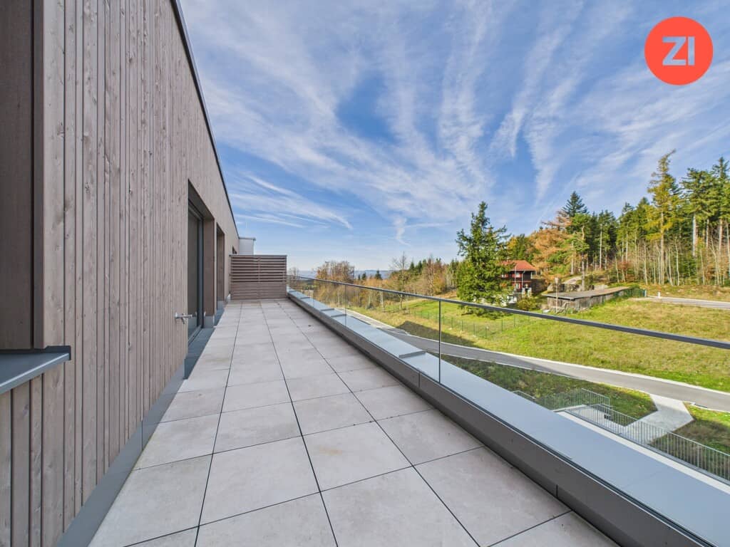 Dachgeschosswohnung mit Terrasse und Linzblick