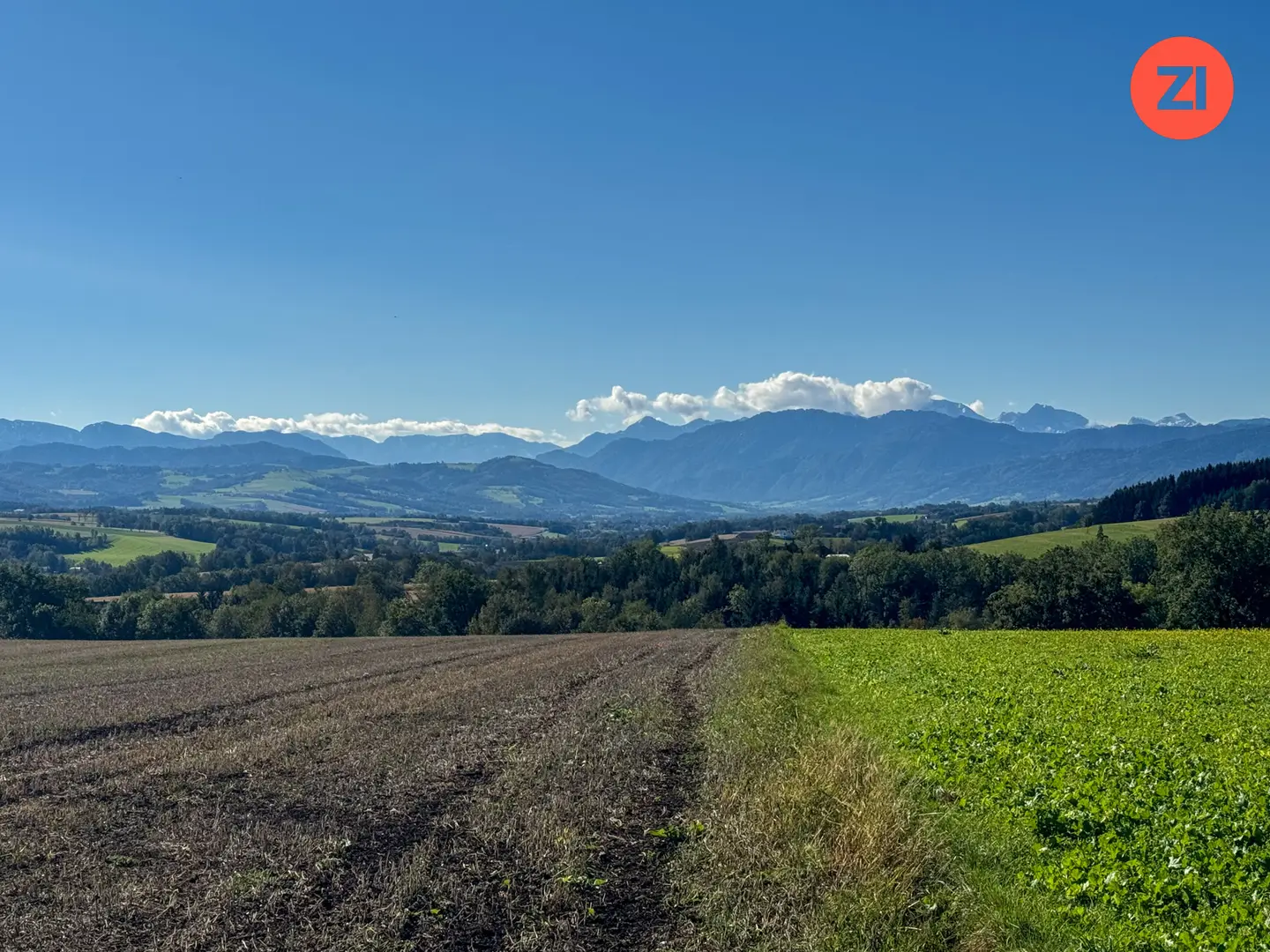 Kremsmünster: Landwirtschaftliche Fläche 5,3 ha in perfekter Lage