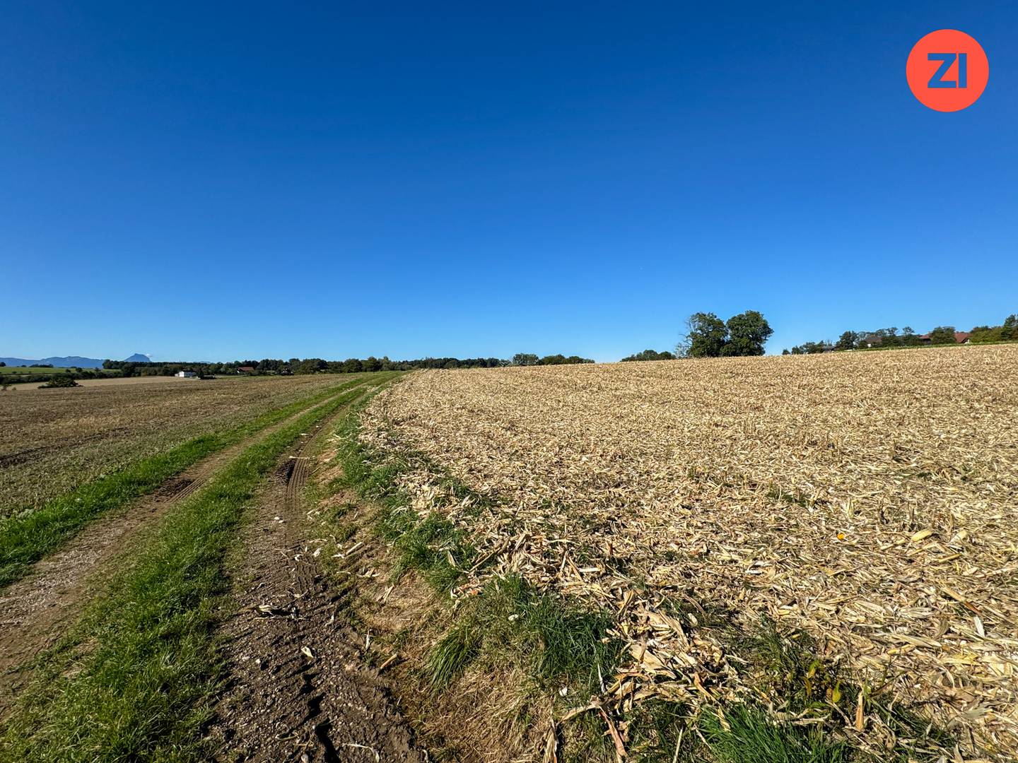 Kremsmünster: Landwirtschaftliche Fläche 5,3 ha in perfekter Lage