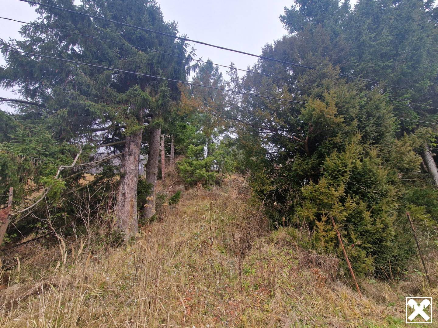 SONNIGE LEBENSQUALITÄT: ZWEI BAUGRUNDSTÜCKE IN WEIDLINGBACH MIT HOHER LEBENSQUALITÄT OHNE BAUZWANG