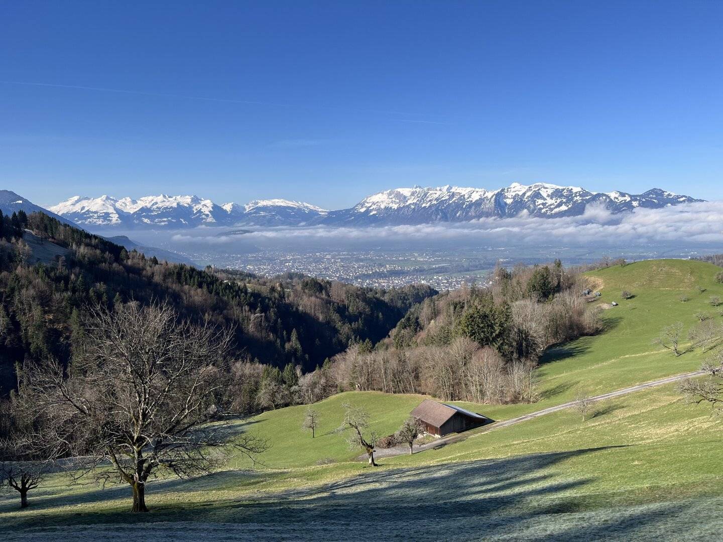 Baugrundstück in Hanglage mit Fernblick in Dafins (Vorarlberg)