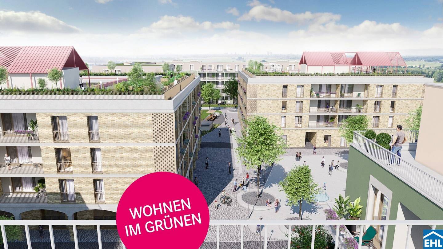Top 5