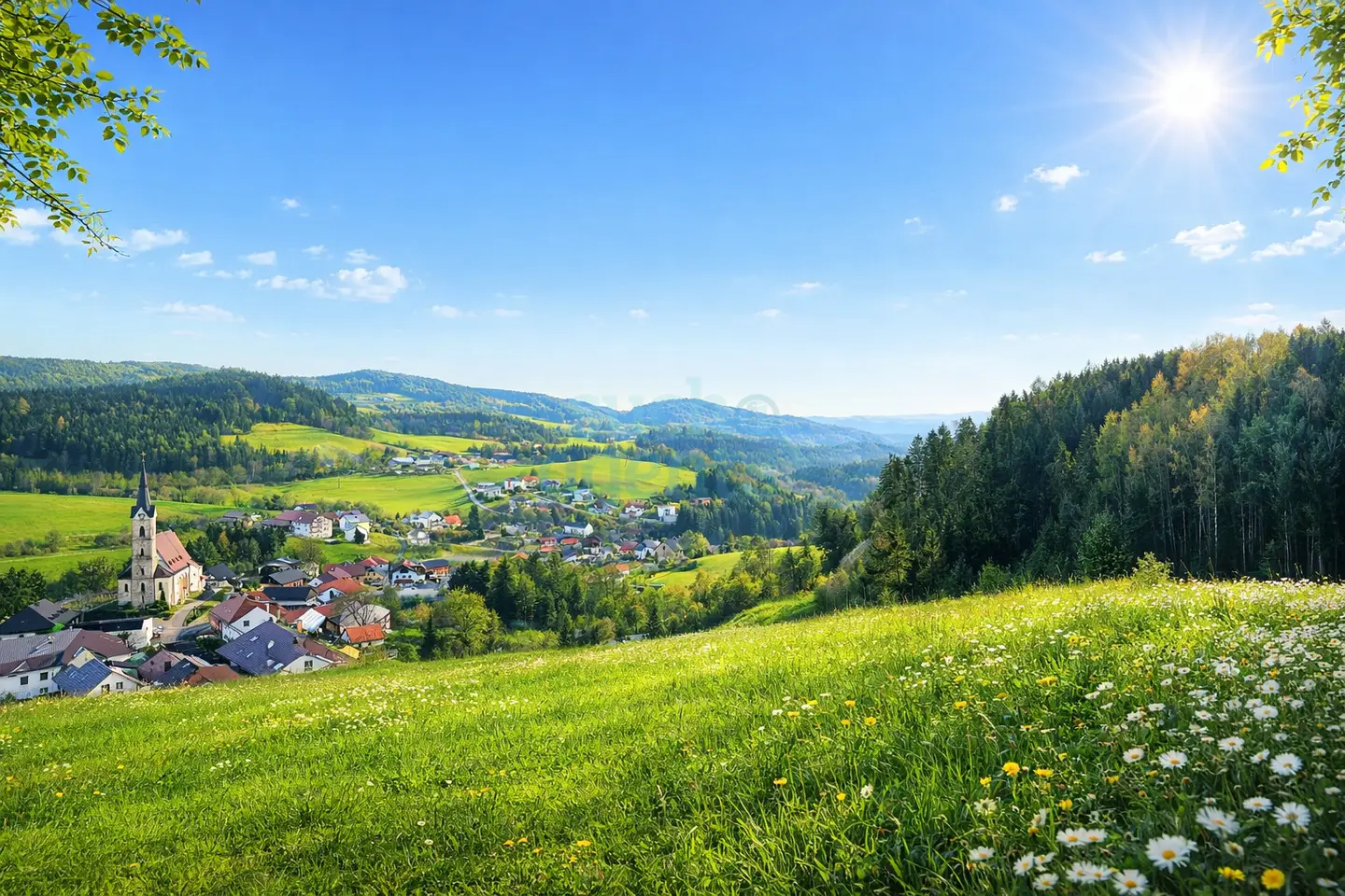 Neuer Preis! Sonniges Baugrundstück nahe Linz – unverbaubarer Ausblick
