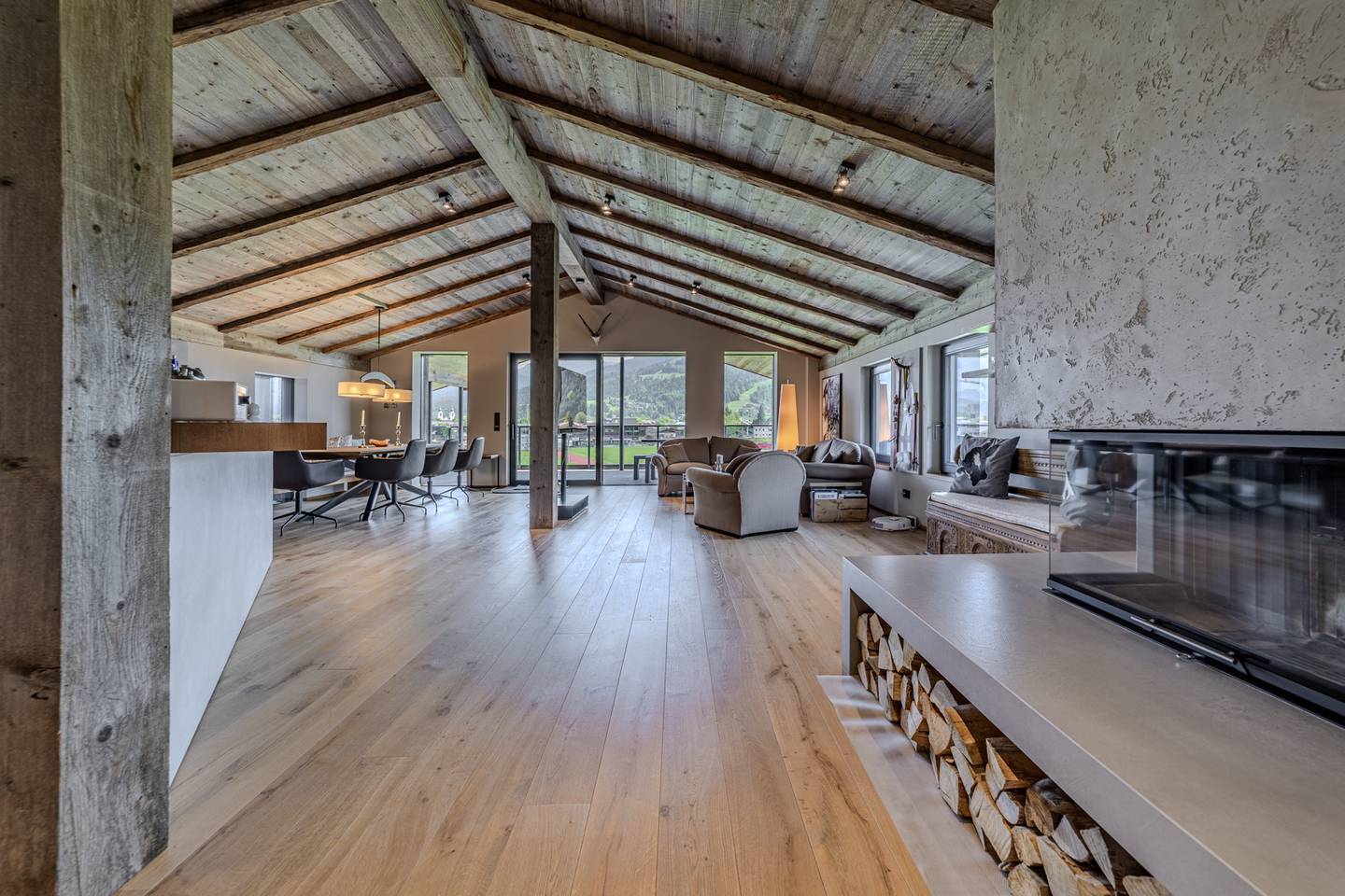 Penthouse with panorama terrace and mountain view