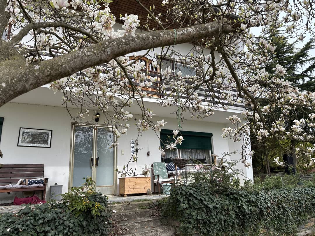 Immobilienbild 4