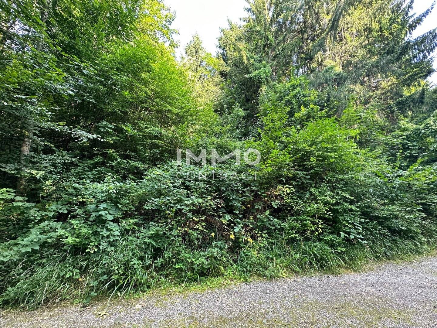 Ihr Traumgrundstück im Grünen! Gestalten Sie Ihr neues Zuhause zum absoluten Spitzenpreis!