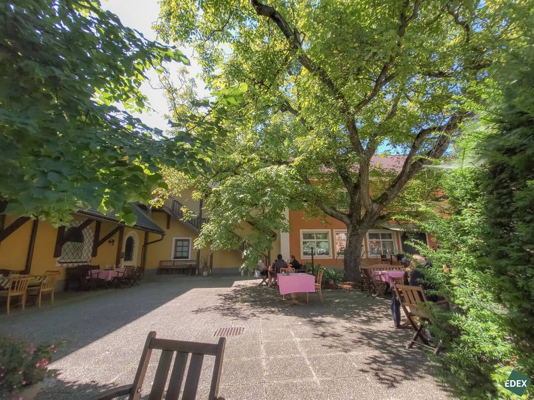 Hotel with Restaurant and Picturesque Guest Garden in Persenbeug on the Danube