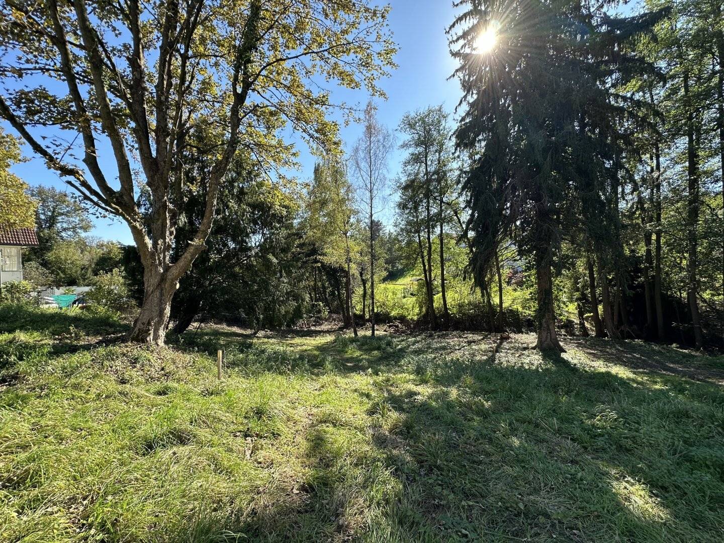 Graz-Rosenberg: Living in and with Nature - Plot with Building Permit for a Single-Family House