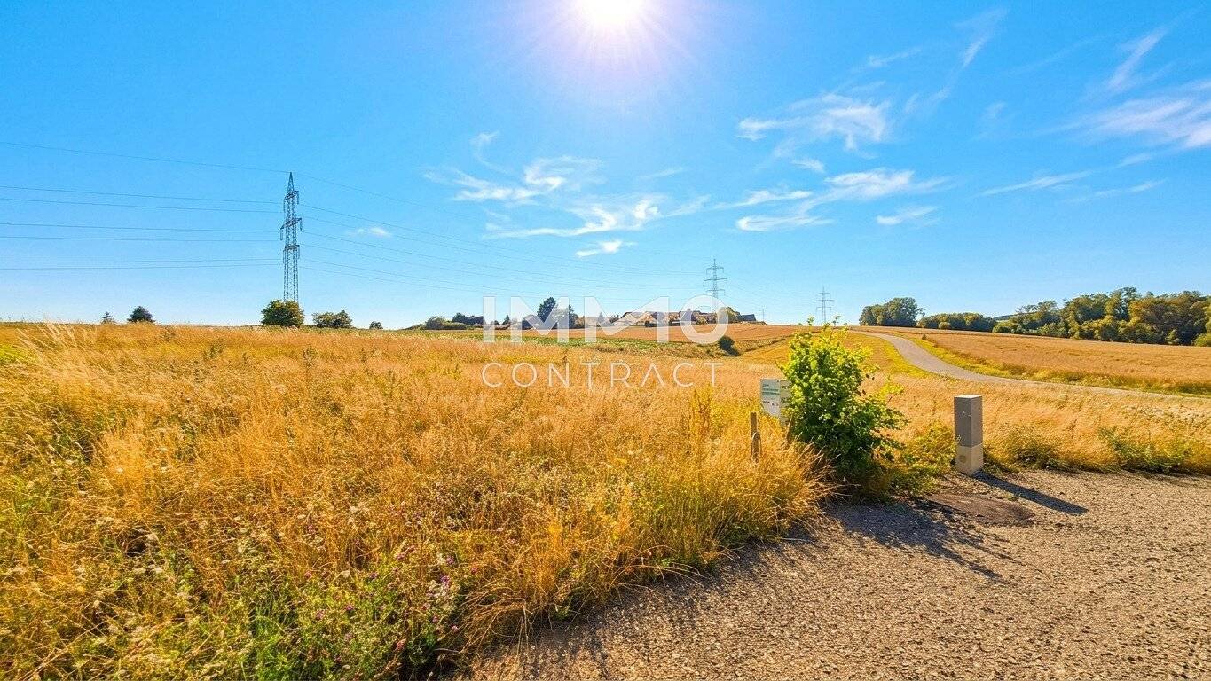 Baugrund mit 926 m² in bester Lage von Wieselburg-Stadt