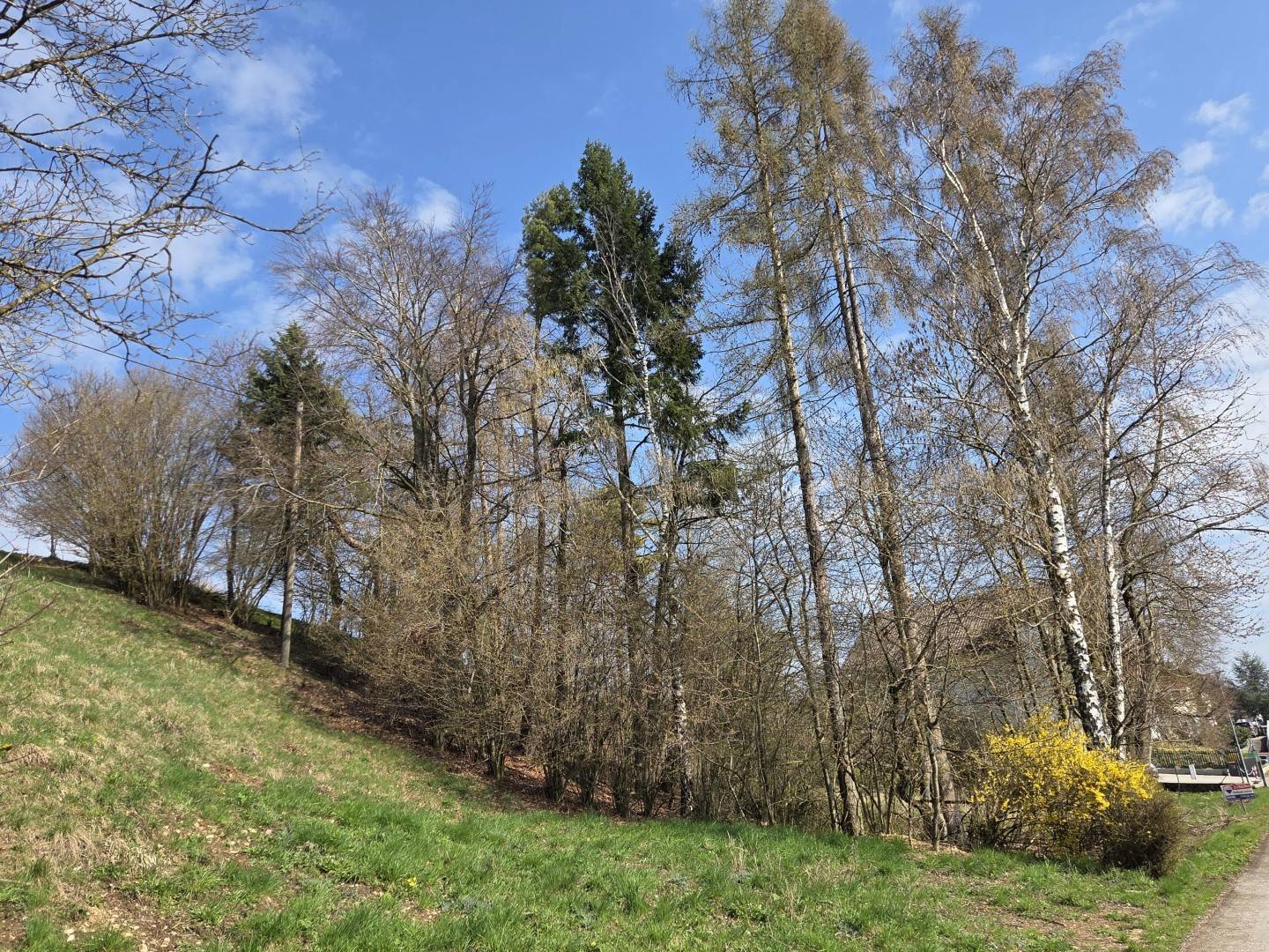 Hang-Baugrundstück in Sierning-Hausleiten, 1.531 m² aufgeschlossen