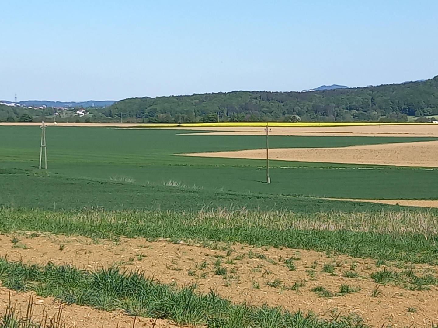 Hang-Baugrundstück in Sierning-Hausleiten, 1.531 m² aufgeschlossen