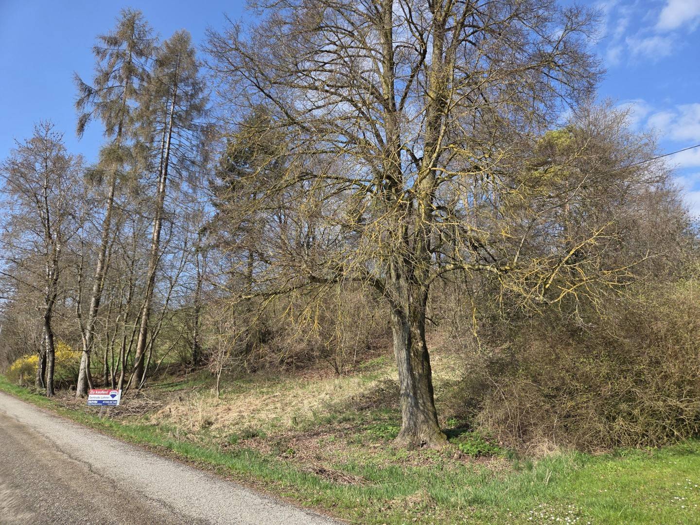 Hang-Baugrundstück in Sierning-Hausleiten, 1.531 m² aufgeschlossen
