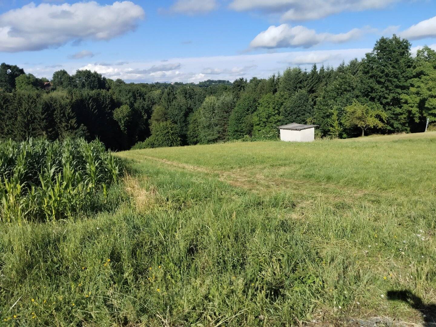 Sonniges Baugrundstück in Ruhelage Burgauberg-Neudauberg, 4.000 m²