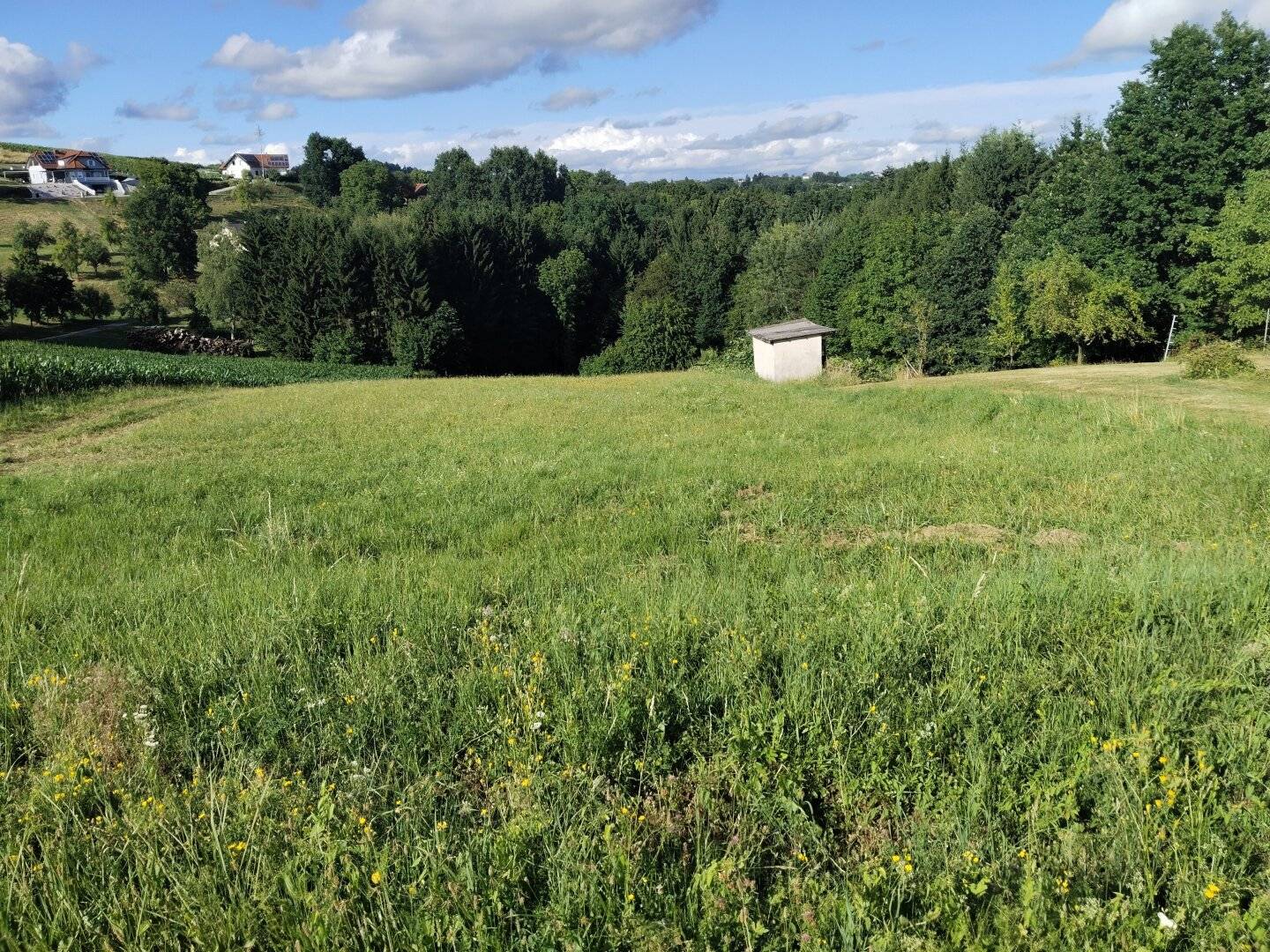 Sonniges Baugrundstück in Ruhelage Burgauberg-Neudauberg, 4.000 m²