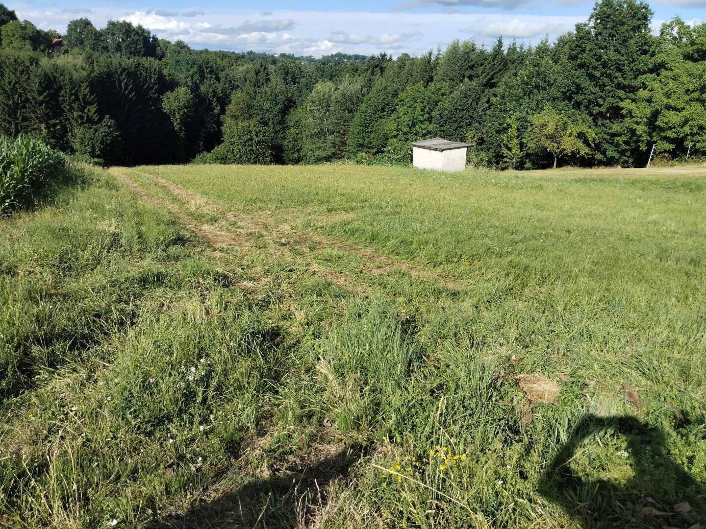 Sonniges Baugrundstück in Ruhelage Burgauberg-Neudauberg, 4.000 m²