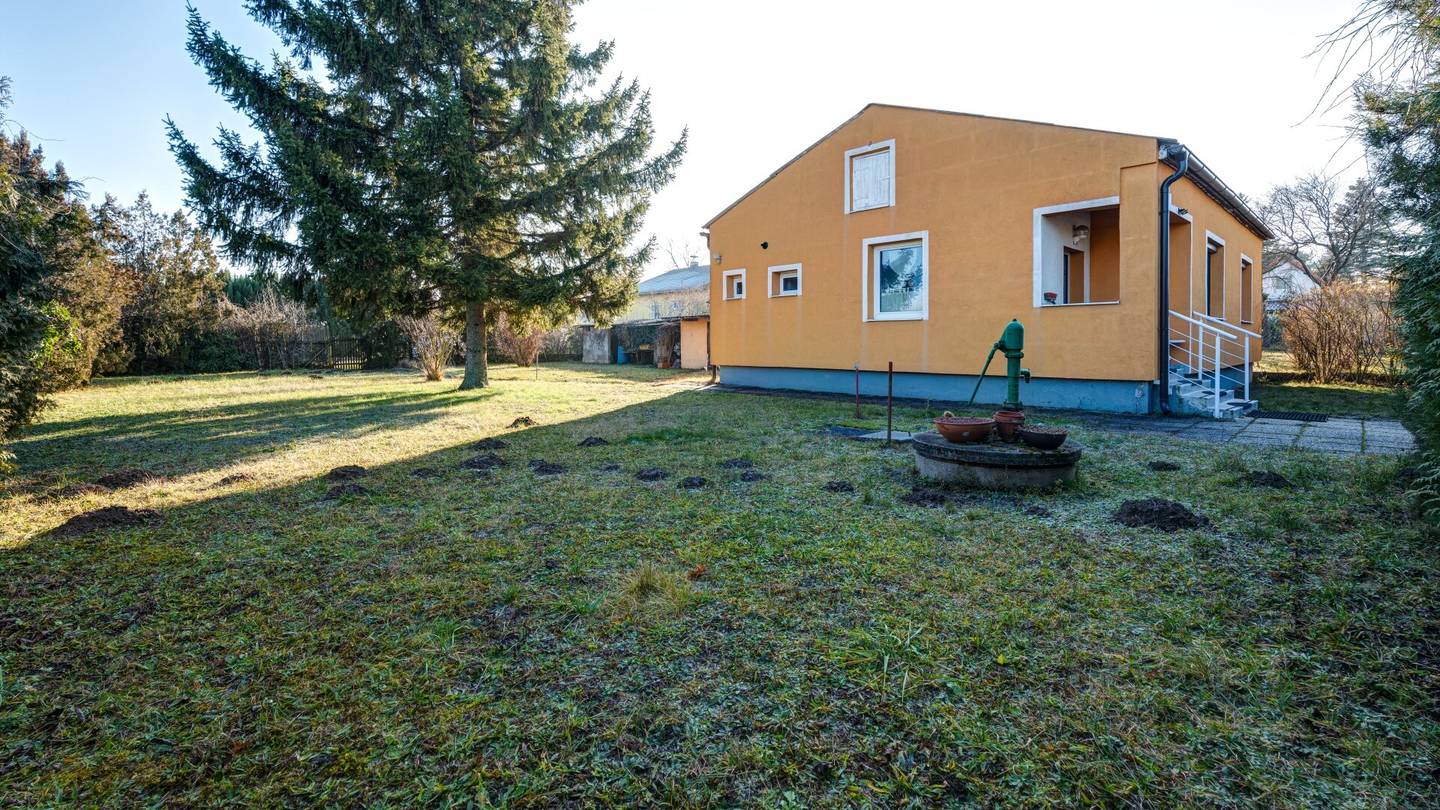 Single-family house with large plot in a quiet location