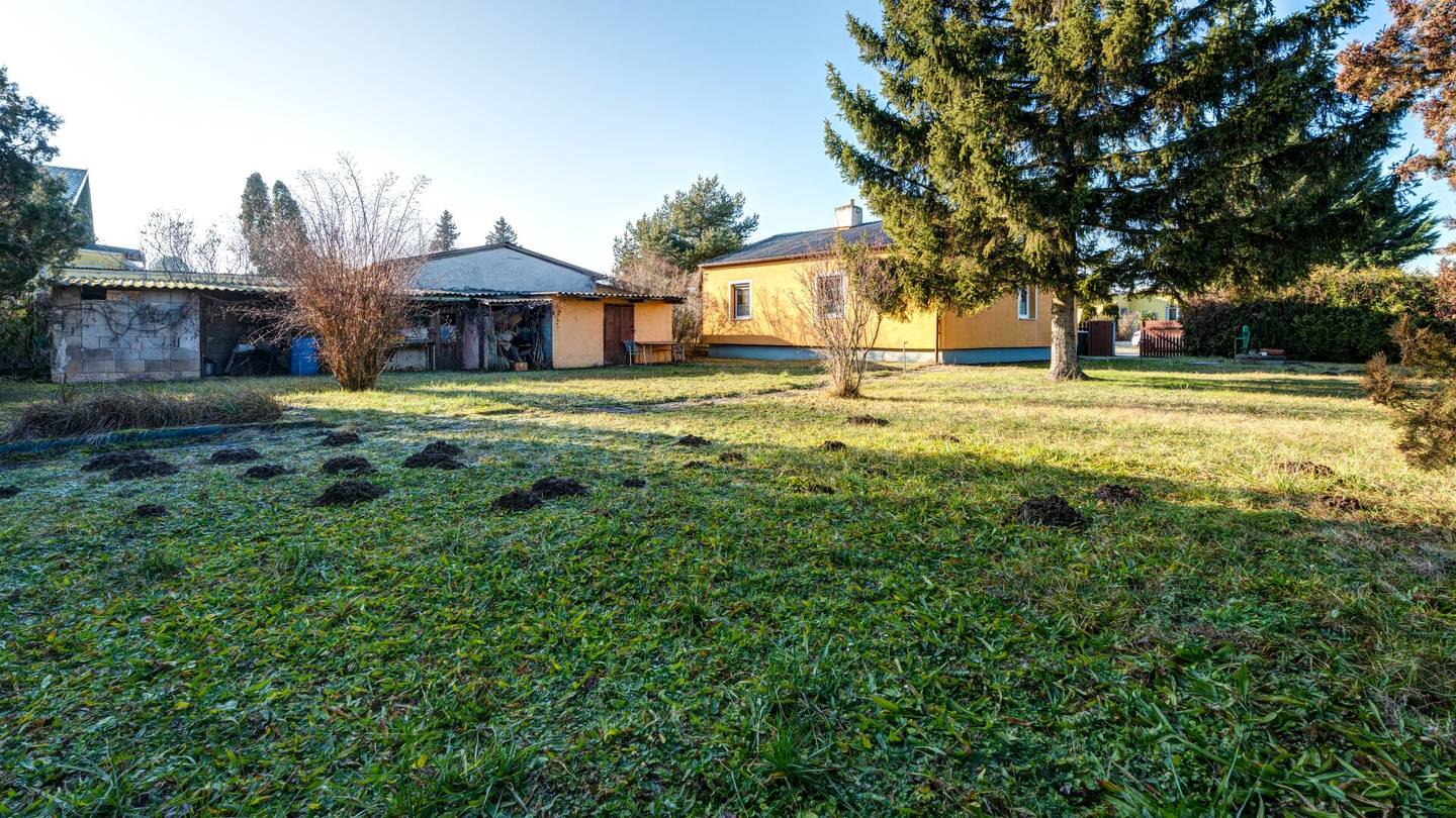 Single-family house with large plot in a quiet location