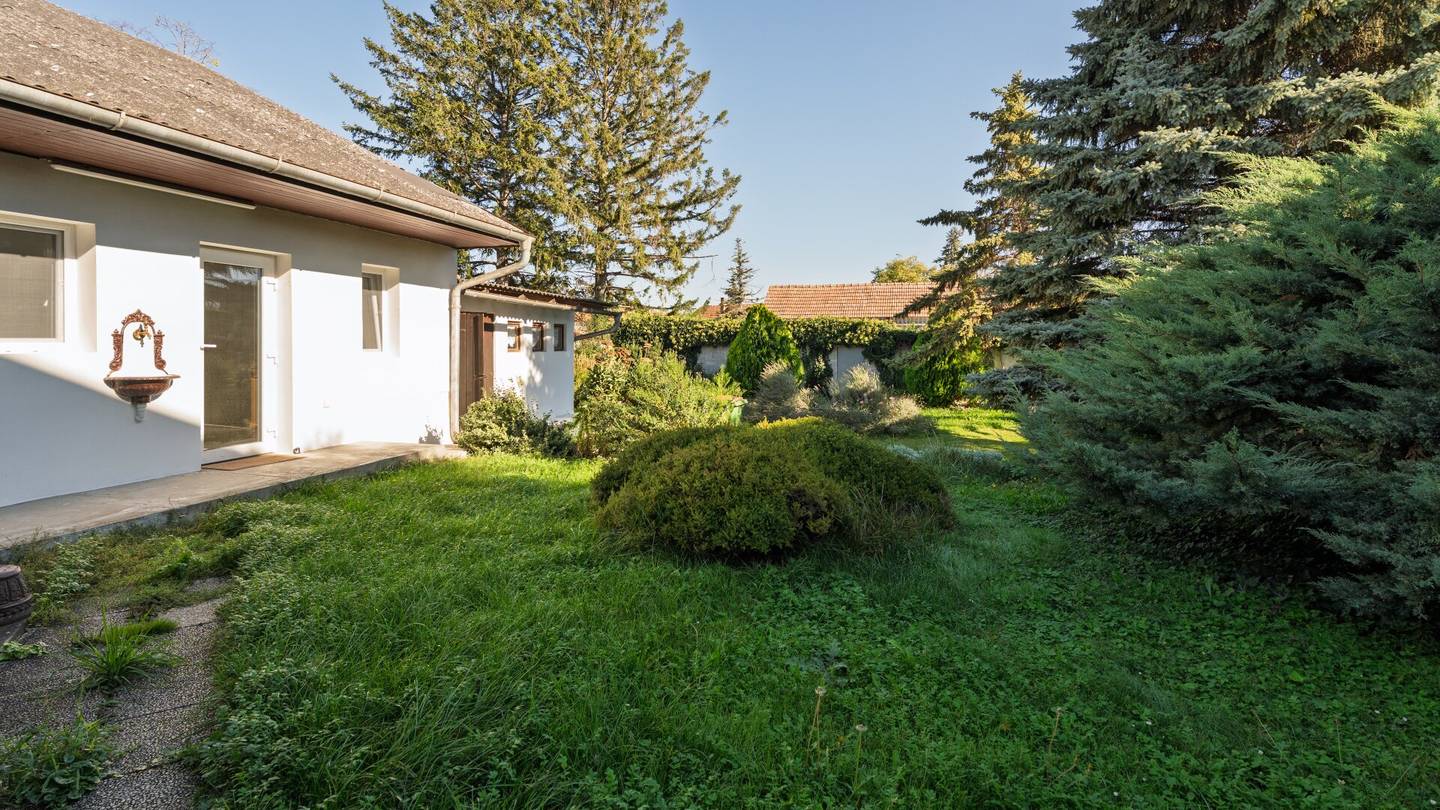 Modernisiertes Einfamilienhaus in Wittau – ruhige Lage, ca. 60 m²