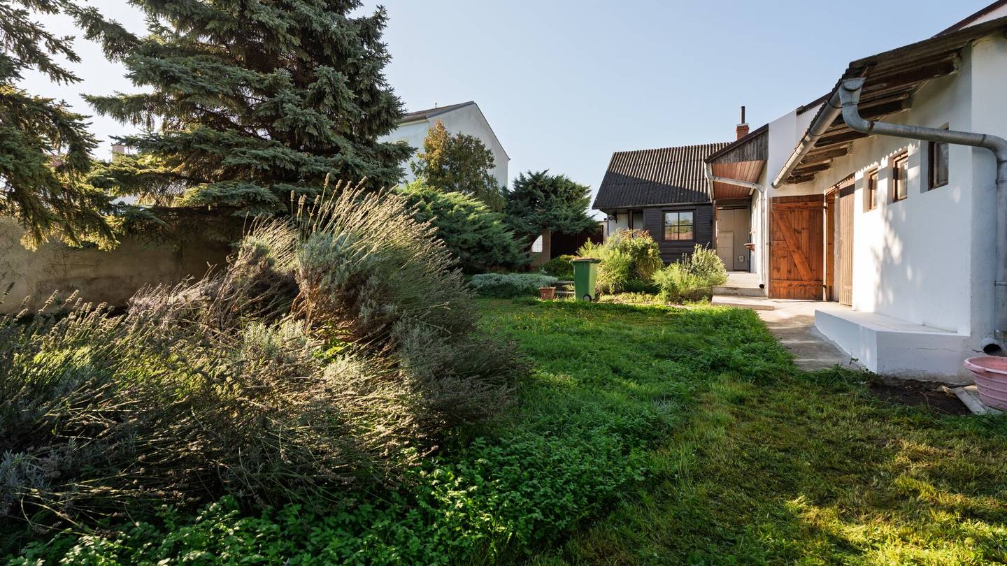 Modernisiertes Einfamilienhaus in Wittau – ruhige Lage, ca. 60 m²