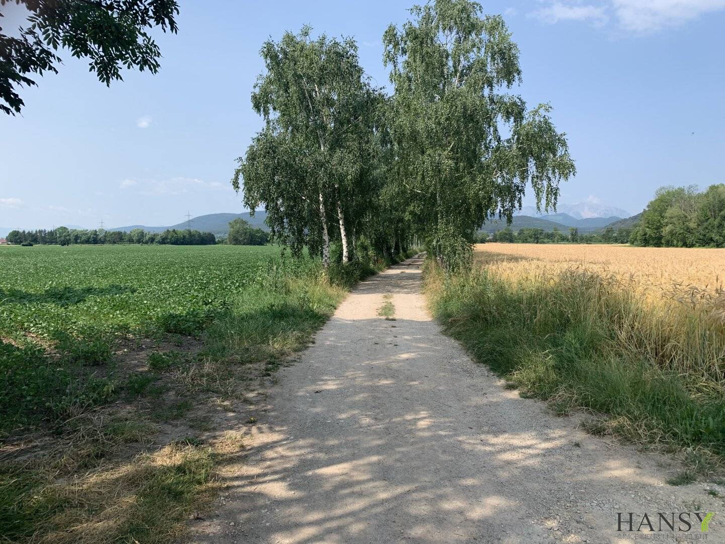 Großes Land und Forstwirtschaftsgrundstück mit Fernblick