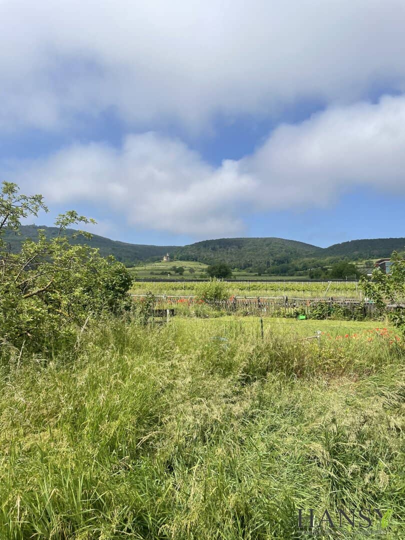 Großes Baugrundstück 2059 m² in 2504 Sooß – Ihr Traum-Eigenheim in NÖ!