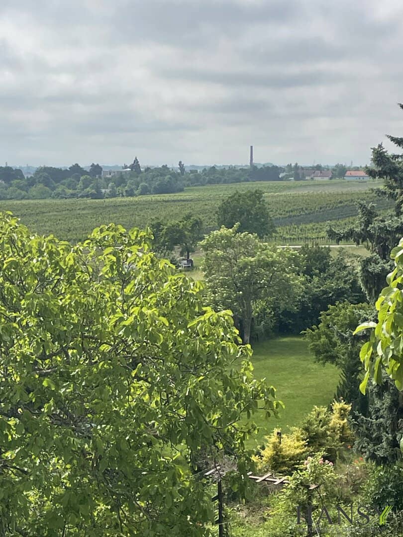 Großes Baugrundstück 2059 m² in 2504 Sooß – Ihr Traum-Eigenheim in NÖ!