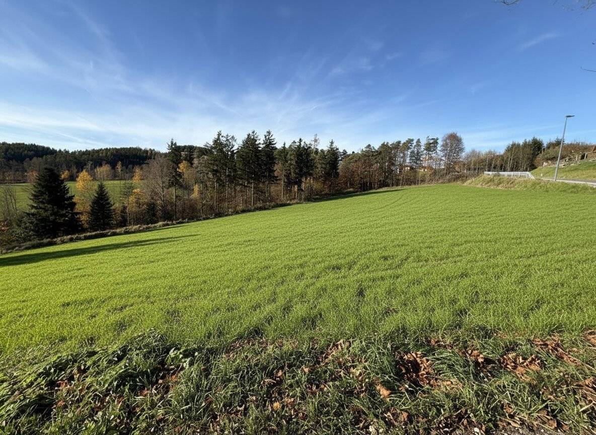 Bromberg am Beginn der Buckligen Welt: Sonniger Baugrund in leichter Hanglage!