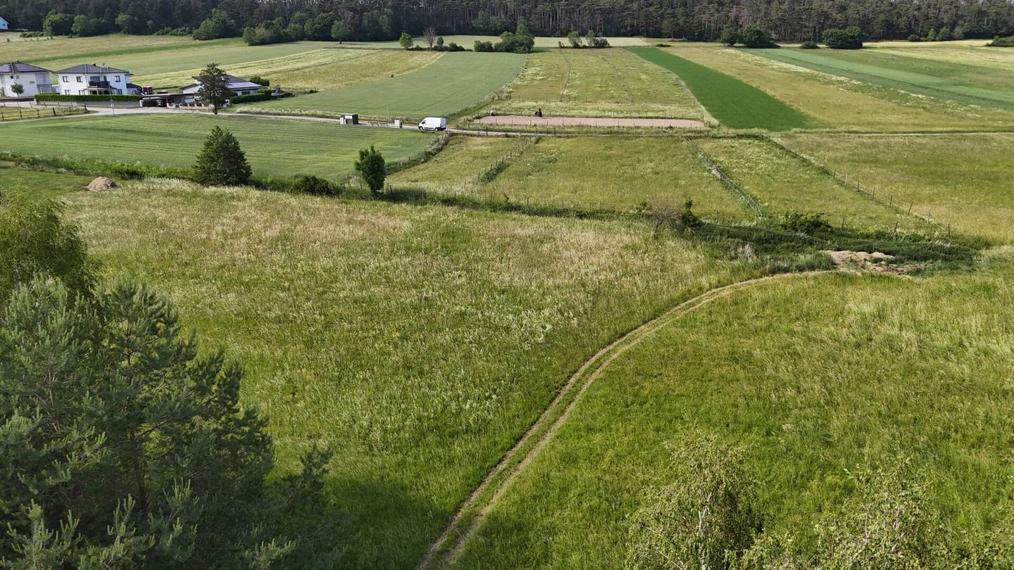 Dreistetten - Top-Wertanlage! Grünlandgrundstücke (Wiese/Acker/Wald) in ortsnaher Lage