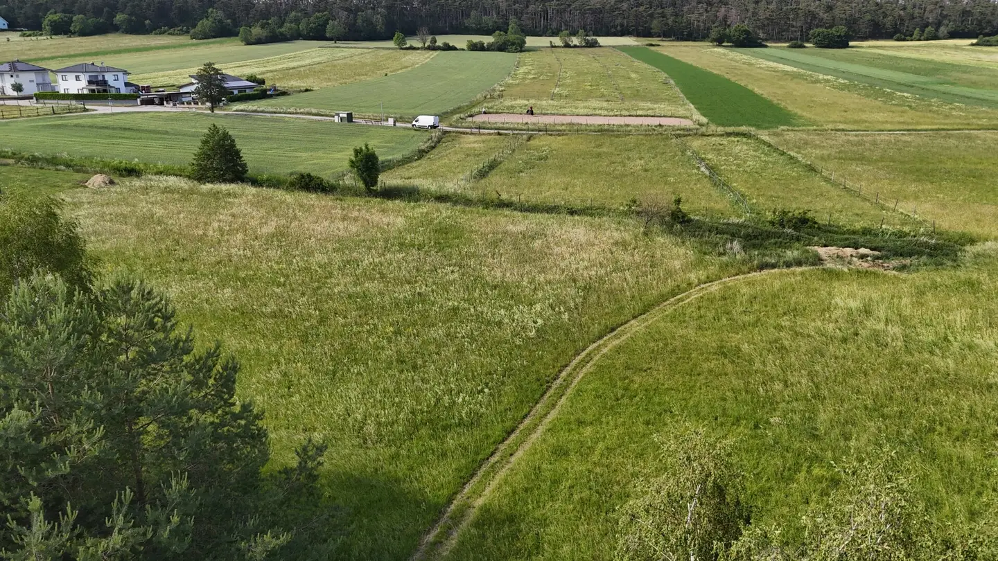 Dreistetten Top Value Investment Grassland Properties (Meadow/Arable Land/Forest) in a Location Near the Town