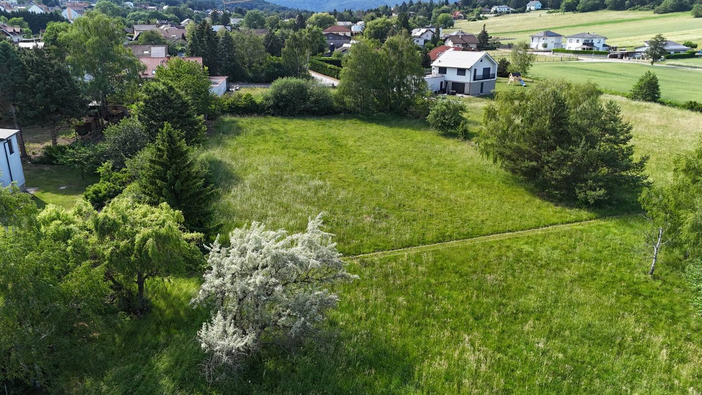 Dreistetten - Top-Wertanlage! Grünlandgrundstücke (Wiese/Acker/Wald) in ortsnaher Lage