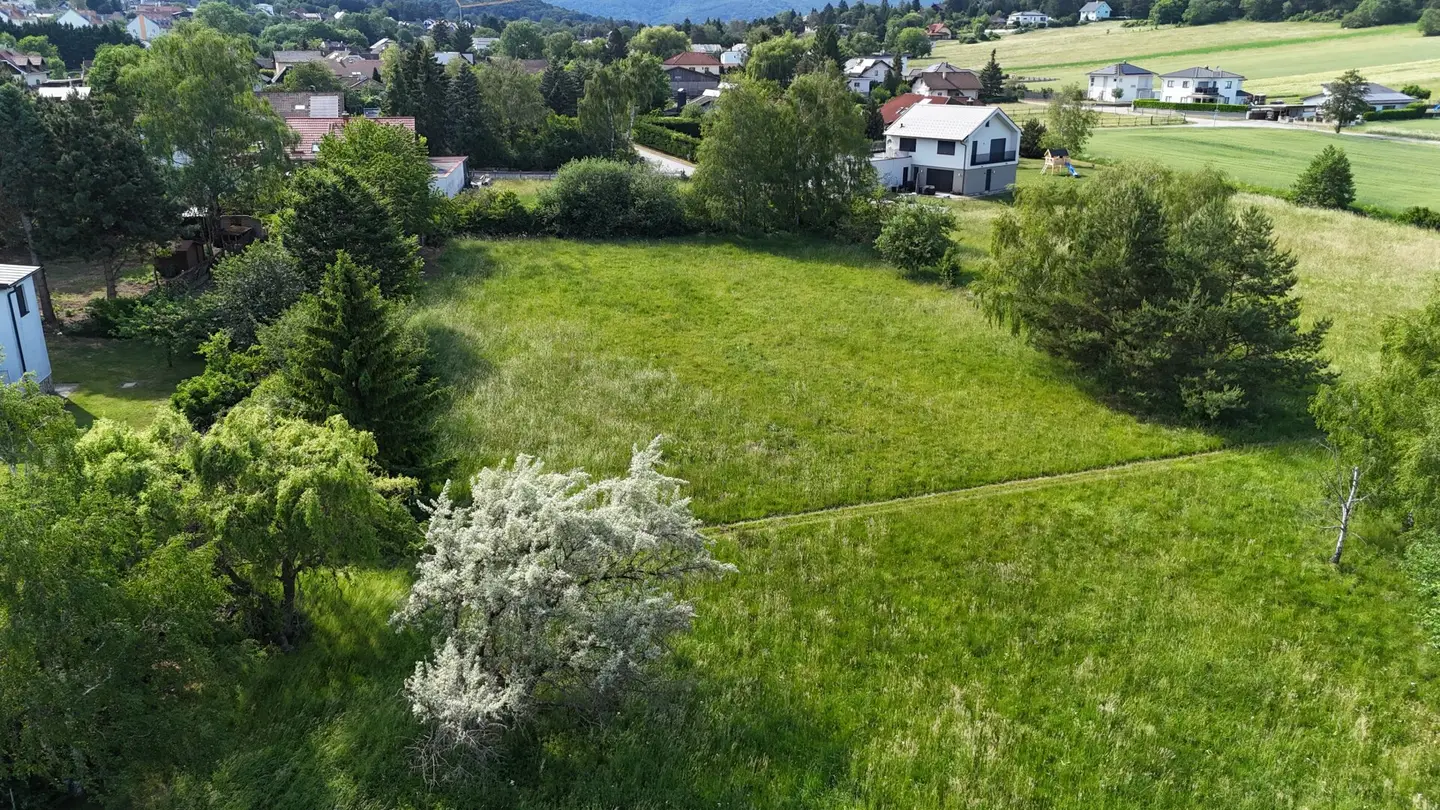 Dreistetten Top Value Investment Grassland Properties (Meadow/Arable Land/Forest) in a Location Near the Town