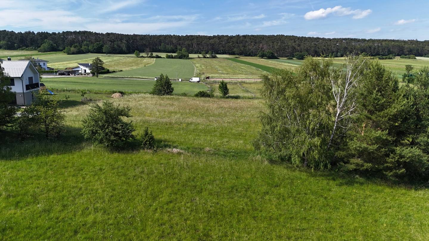 Dreistetten - Top-Wertanlage! Grünlandgrundstücke (Wiese/Acker/Wald) in ortsnaher Lage