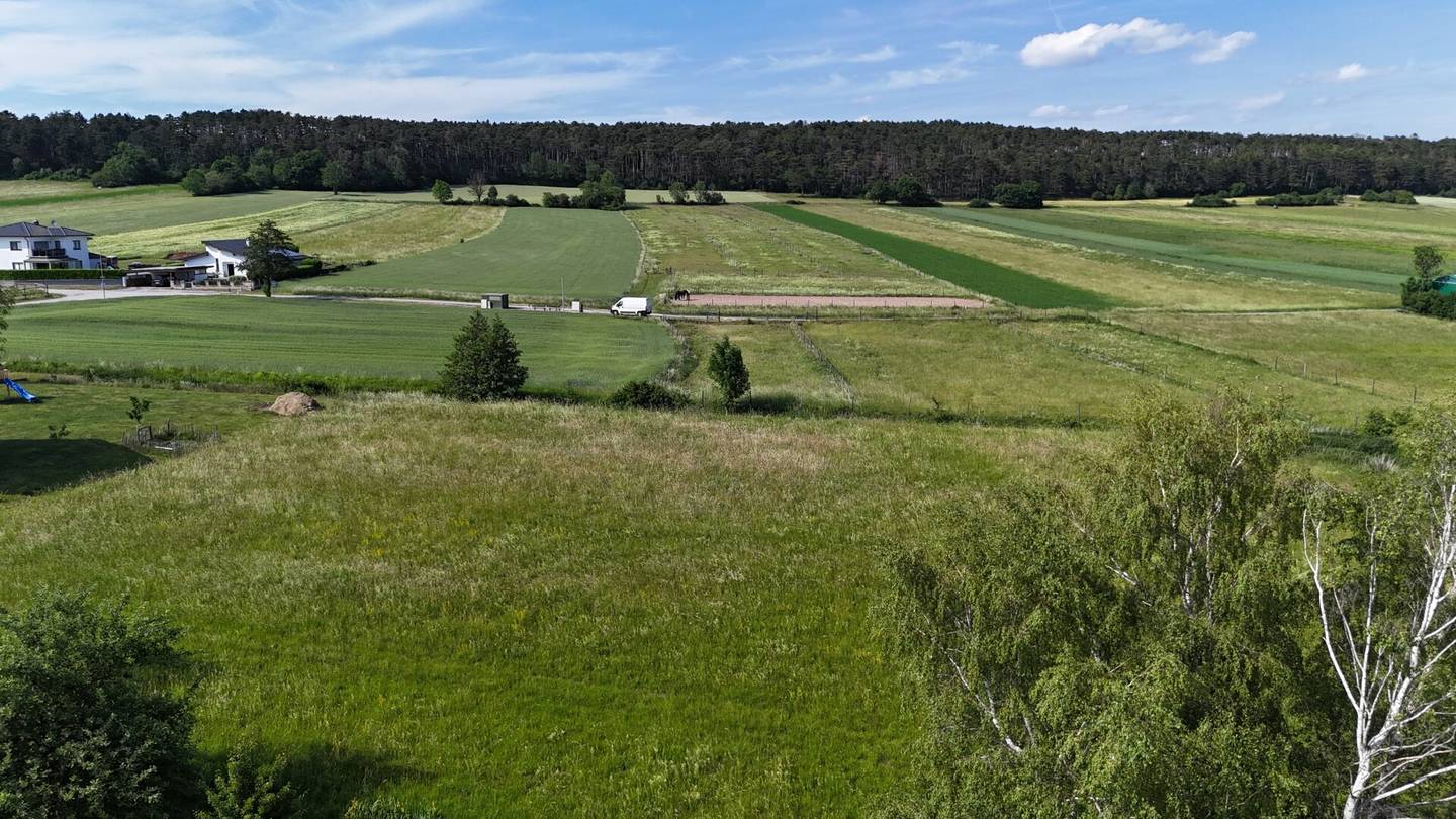 Dreistetten - Top-Wertanlage! Grünlandgrundstücke (Wiese/Acker/Wald) in ortsnaher Lage