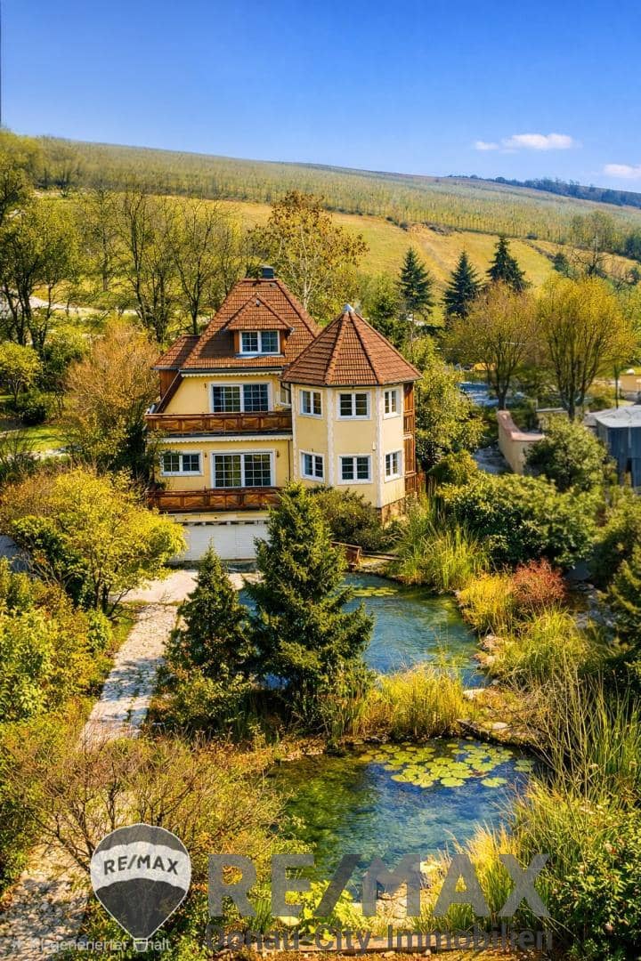 Schlossvilla in Enzesfeld-Lindabrunn mit Weideland & Naturteichen