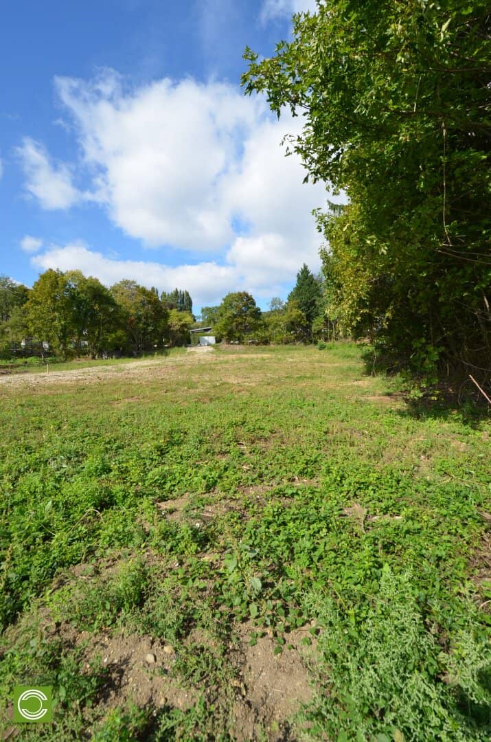 Villenbaugrund im XL-Format in Hinterbrühl - 2.420 m² Bauland