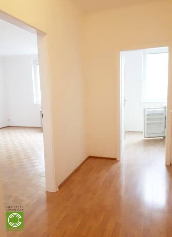 Investment apartment near Hugo Wolf Park Döbling