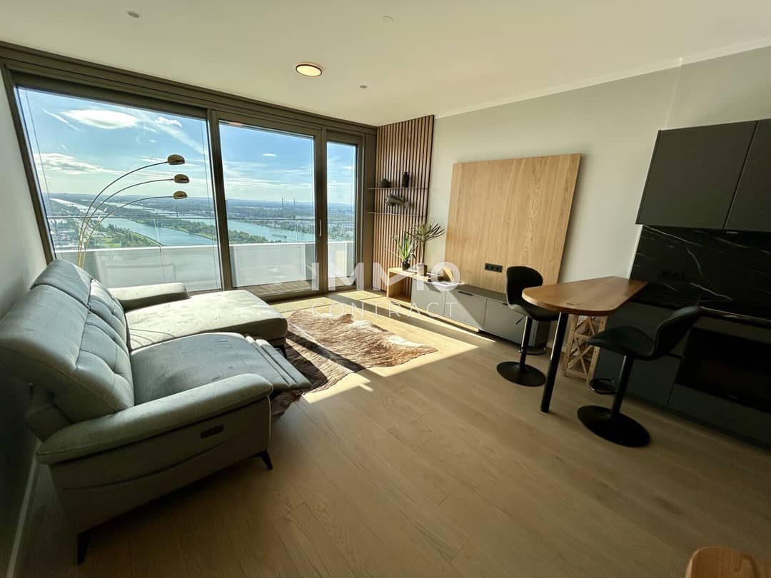 Apartment with Danube view and pool in the building