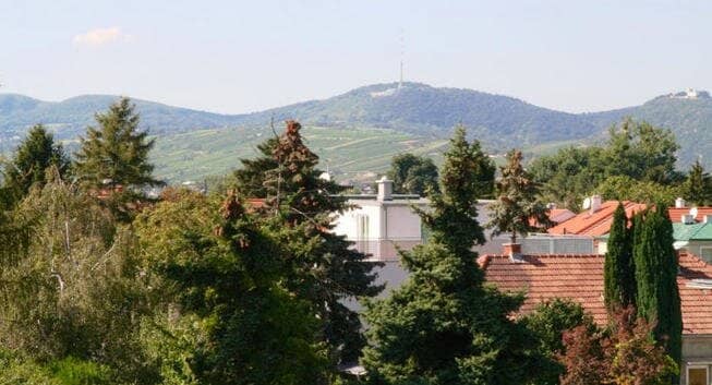Traumlage Alte Donau: ANLAGEOBJEKT Dachterrassen Penthouse-Wohnung + 2 Terrassen auf Wohnebene