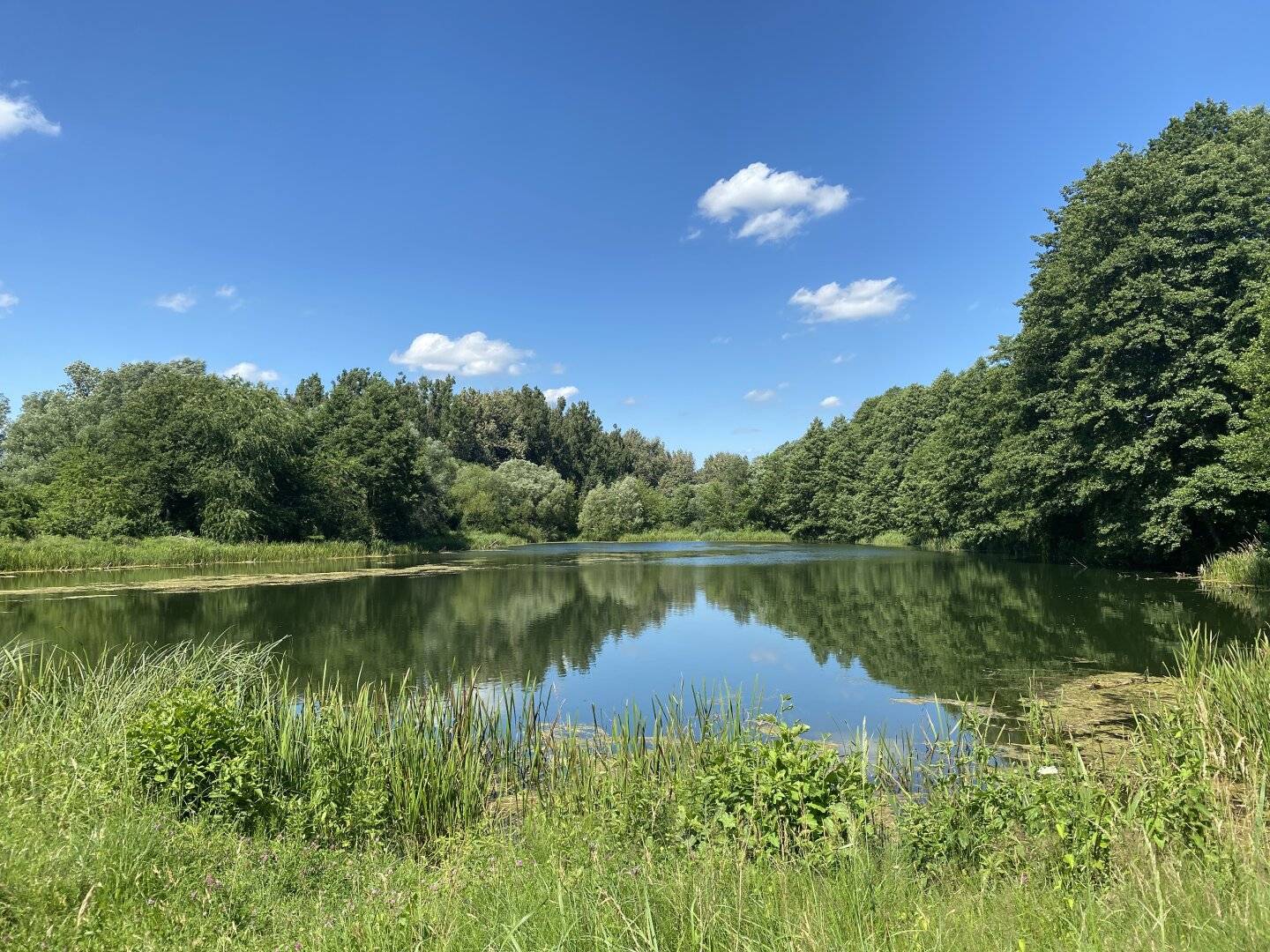 Wohnen am Mühlwasser – Erstbezug: Neubauwohnungen mit Eigengarten, Balkon oder Terrasse in naturnaher Ruhelage nahe der Lobau