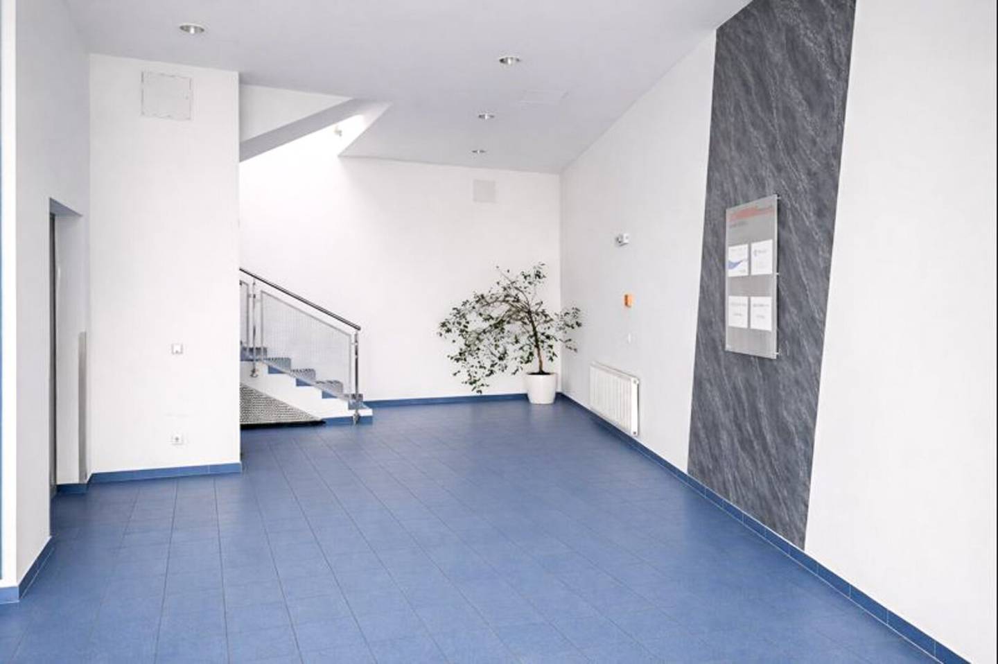 Kombination Geschäftslokal 357 m2 und Lagerfläche 310 m2 zu mieten