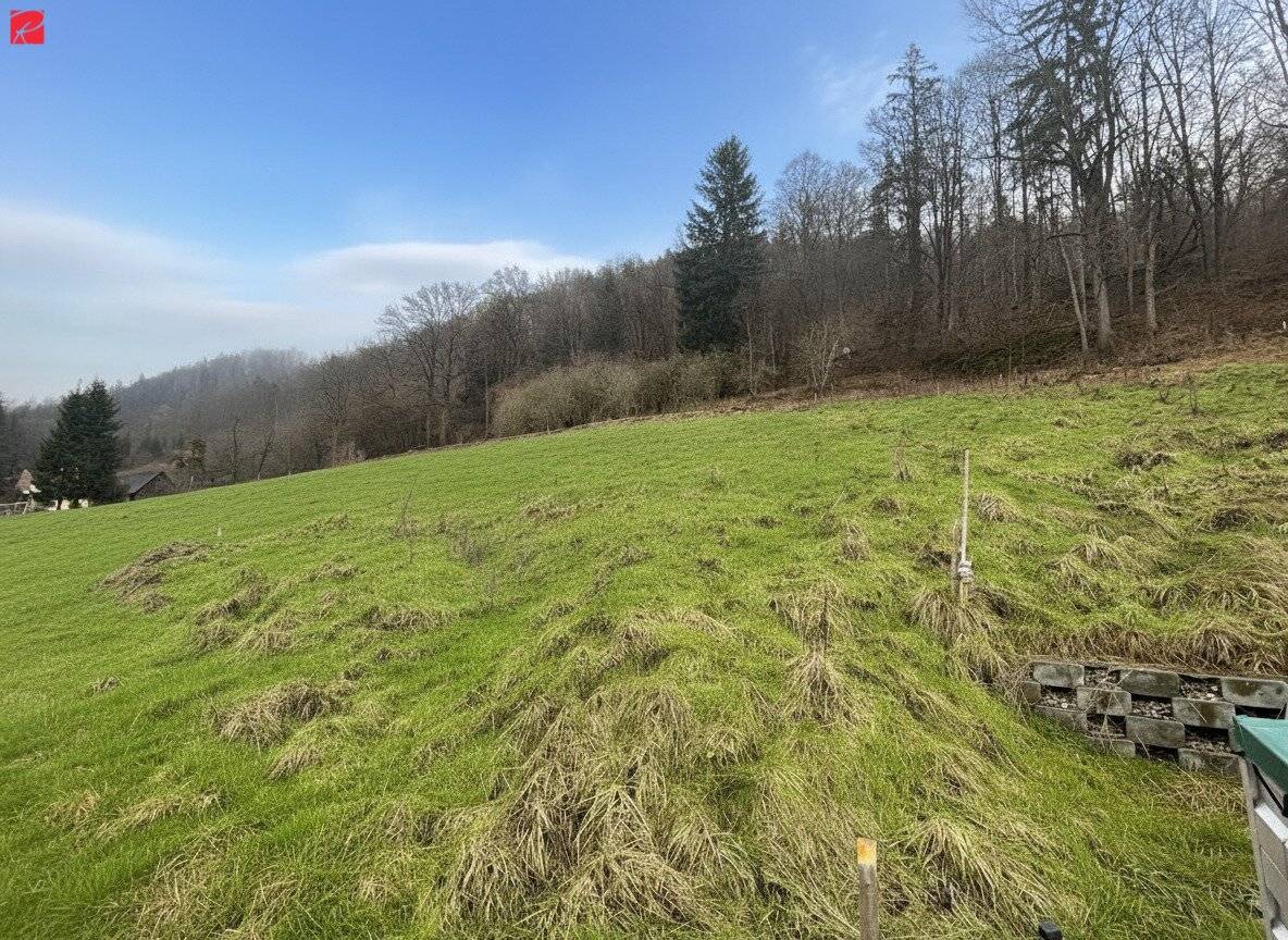 Attraktiver Bauplatz in Stattegg mit Grünblick, voll erschlossen