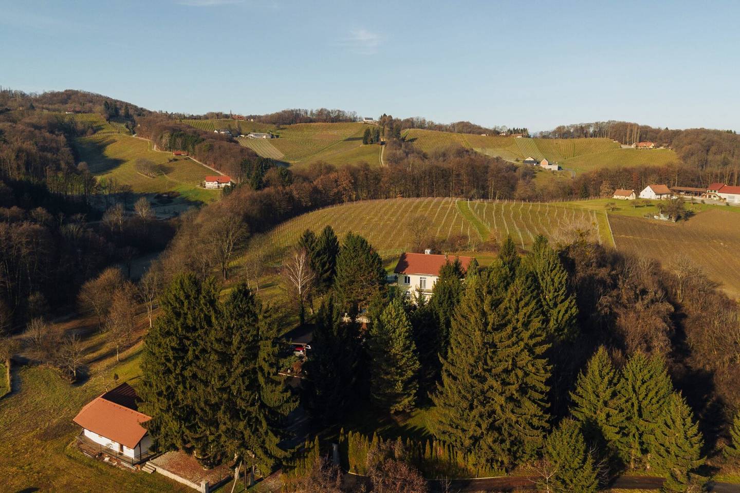 Villa mit 2 Einheiten, 450 m² in Šentilj nahe der Grenze, idyllisch