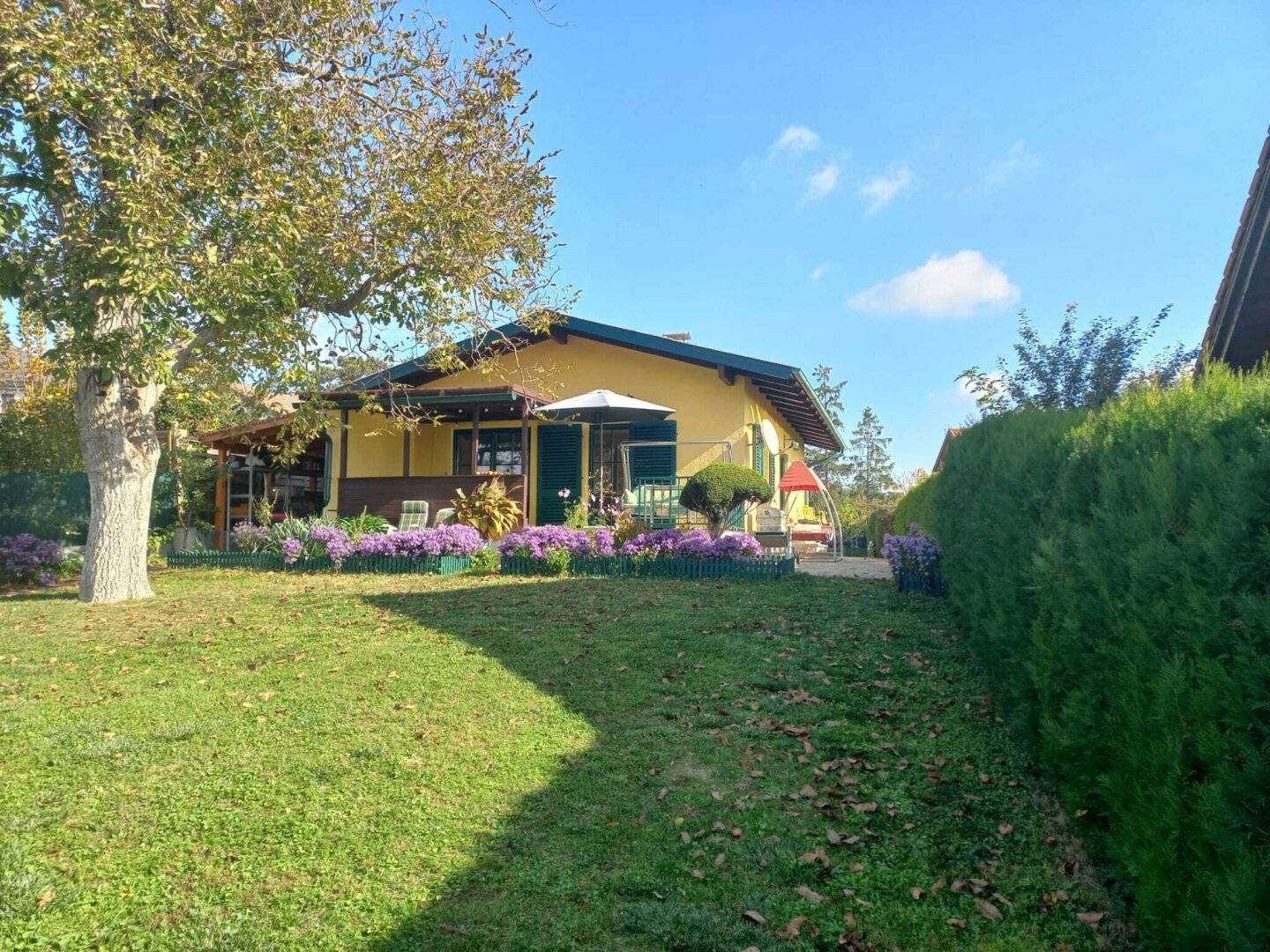 Investment property in Hollabrunn