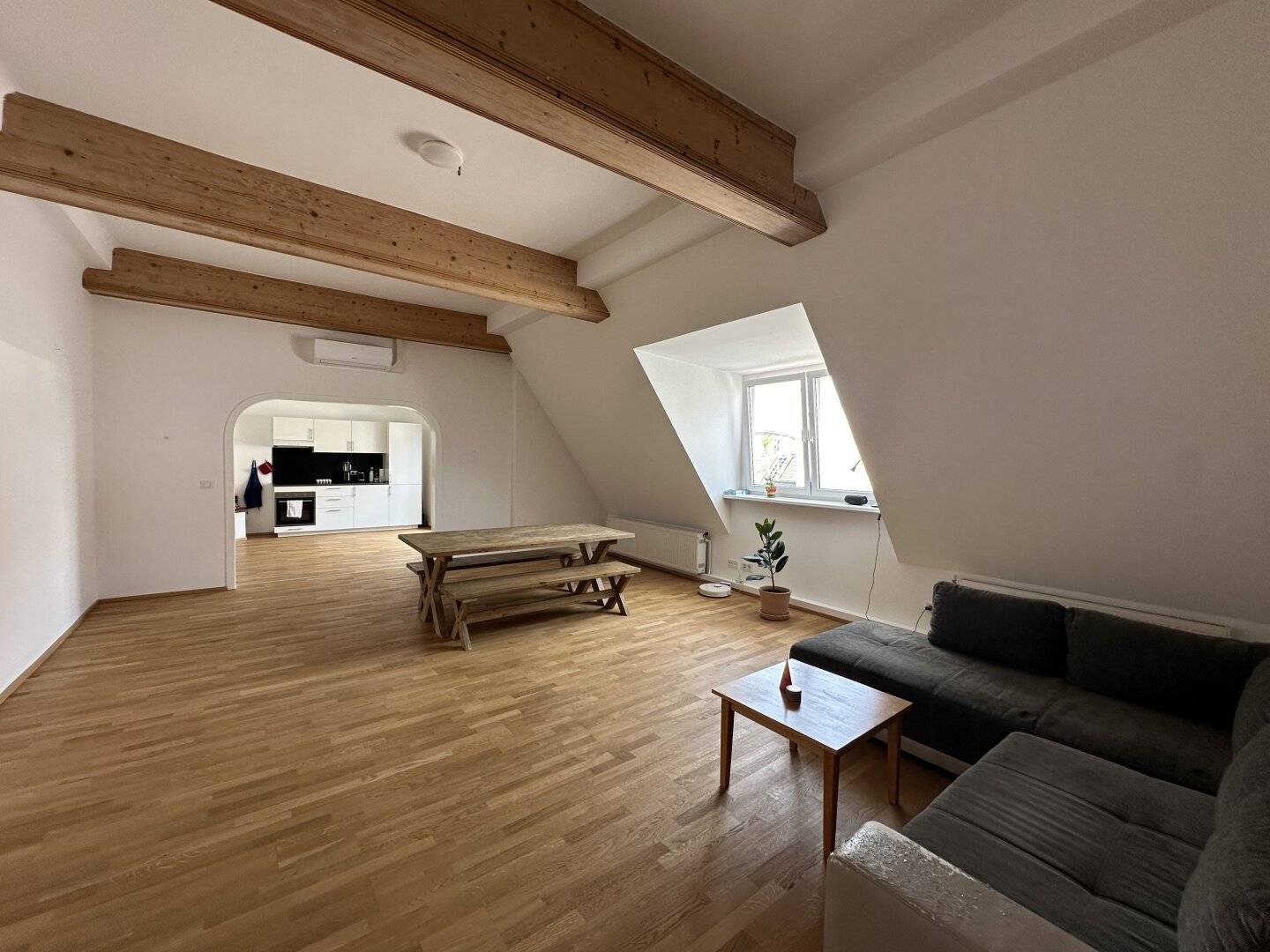 Large 5 room apartment in newly renovated attic with attic terrace