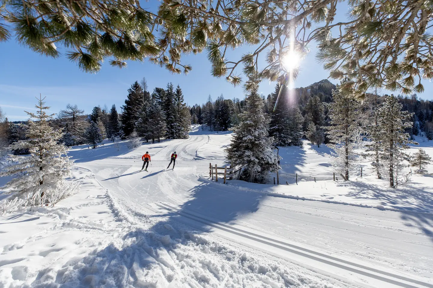 Keine KI - sondern Winter auf der Turracher Höhe!