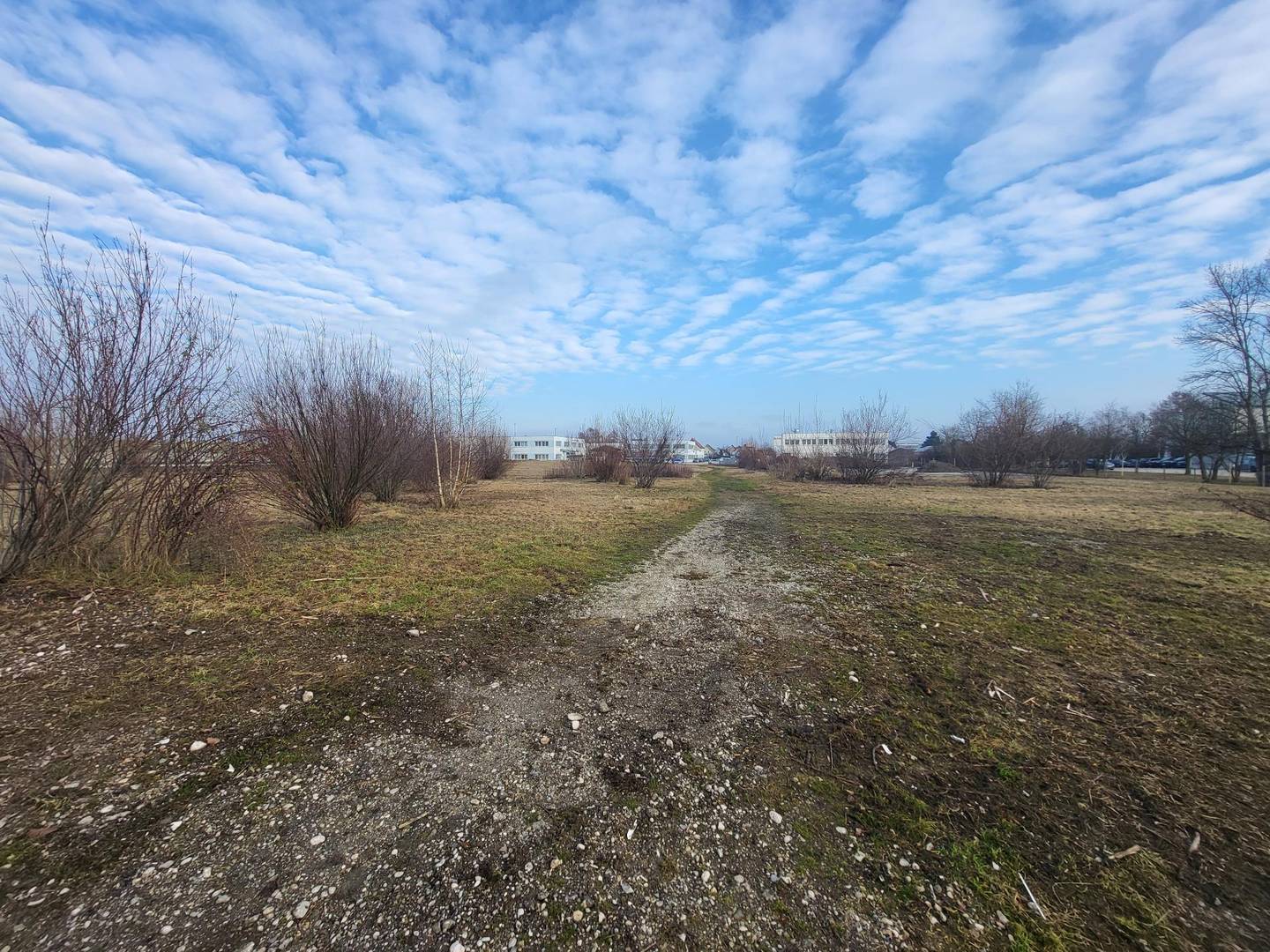 Gewerbegrundstück in Wels-Ost, B1-Nähe, 10.545 m², Fläche bis 6.300 m²