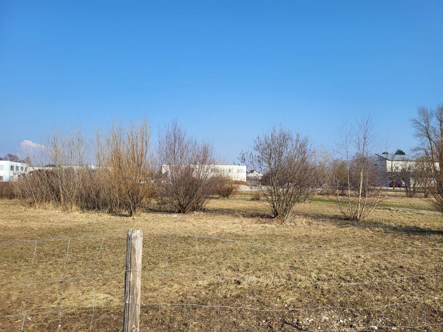 Gewerbegrundstück in Wels-Ost, B1-Nähe, 10.545 m², Fläche bis 6.300 m²