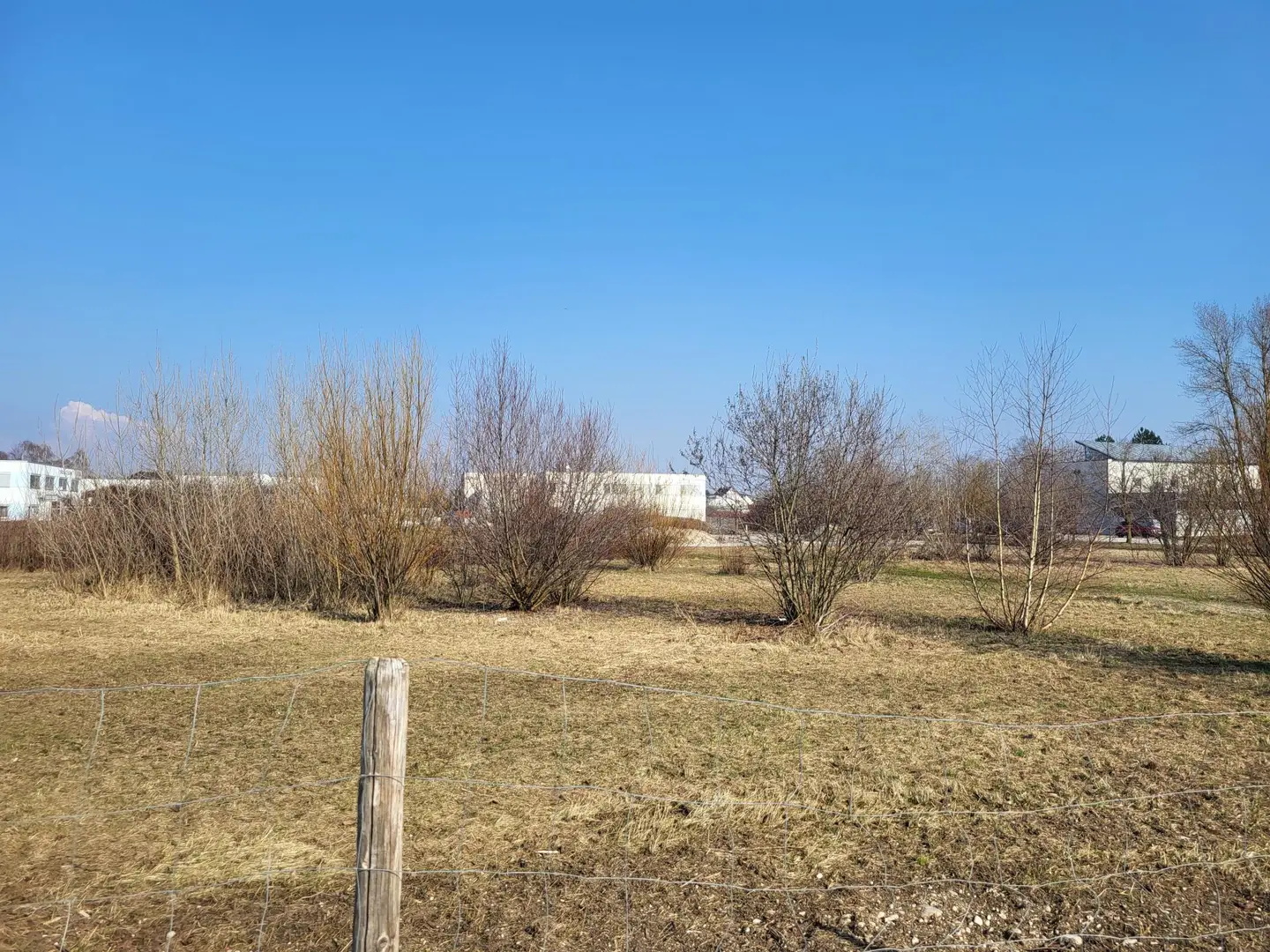 Baugrundstück Wels-Ost Ginzkeystraße